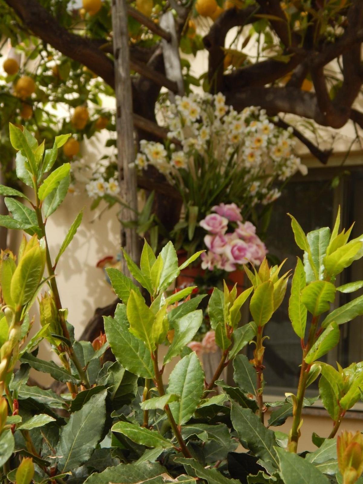 Nel Giardino Di Nunziatina Apartment Сиракуза Екстериор снимка