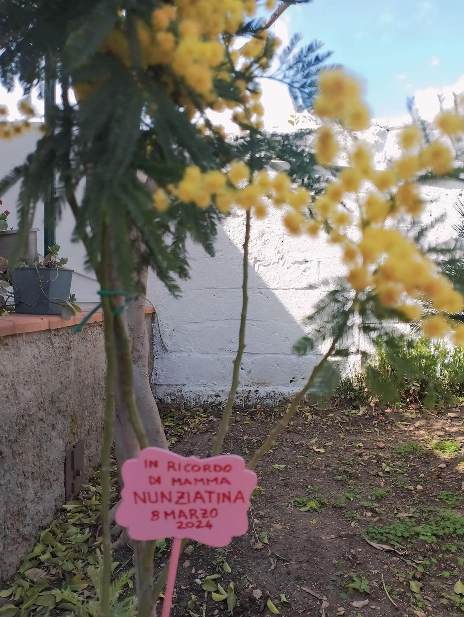Nel Giardino Di Nunziatina Apartment Сиракуза Екстериор снимка