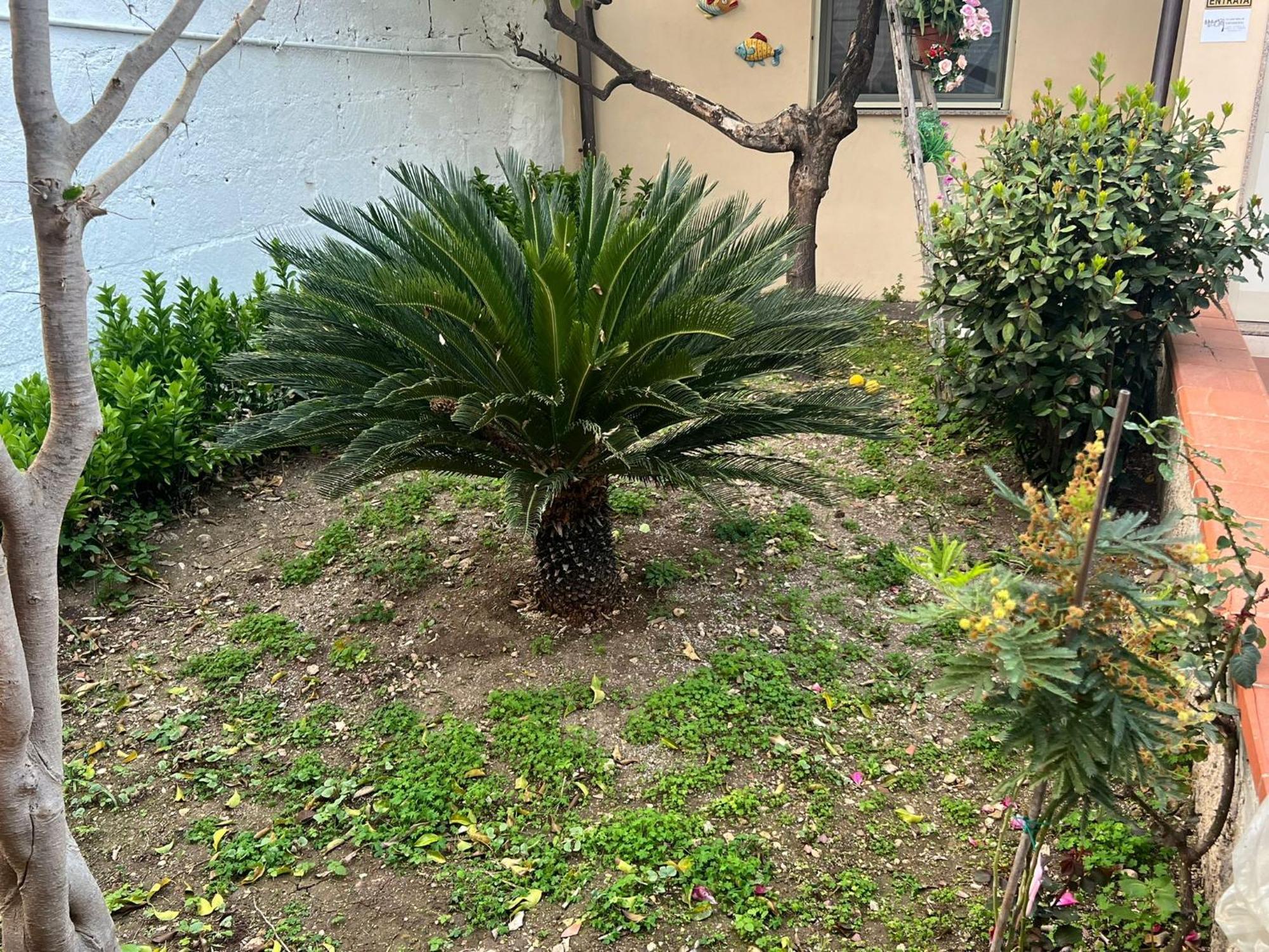 Nel Giardino Di Nunziatina Apartment Сиракуза Екстериор снимка